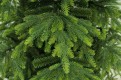 Gałązki PE .Choinka sztuczna Świerk Natura PE 120 cm. Choinka sztuczna jak Żywa. Drugie zdjęcie szczegółów gałązek choinki.