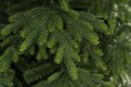 Gałązki PE .Choinka sztuczna Świerk Natura PE 120 cm. Choinka sztuczna jak Żywa. Czwarte zdjęcie szczegółów gałązek choinki.