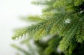 Gałązki PE .Choinka sztuczna Świerk Natura PE 120 cm. Choinka sztuczna jak Żywa. Piąte zdjęcie szczegółów gałązek choinki.