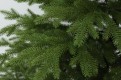 Choinka sztuczna jak żywa, Świerk Naturalny 100% PE 220 cm, Gałązki naturalne.