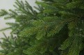 Gałązki PE choinki sztucznej. Choinka sztuczna Świerk Natura 100% PE.  Drugie zdjęcie z galerii gałązek Choinki sztucznej świerk natura.
