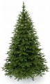 Choinka sztuczna Świerk Naturalny PE + PVC 200 cm. Choinka sztuczna jak Żywa. Drugie zdjęcie produktowe. Choinka sztuczna Świerk Naturalny  jest przedstawiona w pełnym rozmiarze na białym tle.