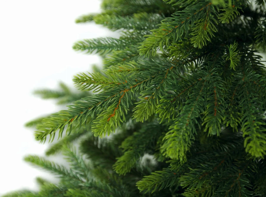 Choinka sztuczna Świerk Europejski PE + PVC 220 cm. Gałązki PE Choinki sztucznej.