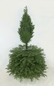 Choinka sztuczna Świerk Naturalny Premium 100% PE 250 cm. Choinka sztuczna jak Żywa. Zdjęcie choinki w trakcie rozkładania.
