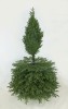 Choinka sztuczna Świerk Naturalny Premium 100% PE 220 cm. Choinka sztuczna jak Żywa. Zdjęcie choinki w trakcie rozkładania.