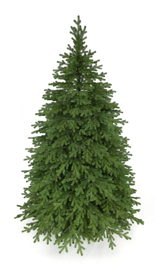 Choinka sztuczna Świerk Naturalny Premium 100% PE 180 cm. Choinka sztuczna jak Żywa. Zdjęcie choinki w całym rozmiarze na białym tle.