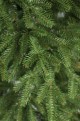 Gałązki PE choinki sztucznej Świerk Naturalny PE na pniu. Gałązki PE realistycznie odzwierciedlają prawdziwe gałązki świerkowe. Choinka sztuczna Świerk Naturalny PE na pniu 220 cm. Drzewko świąteczne które wygląda jak prawdziwe drzewko z lasu.