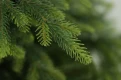 Choinka sztuczna Świerk Natura PE + PVC. Gałązki PE choinki sztucznej.