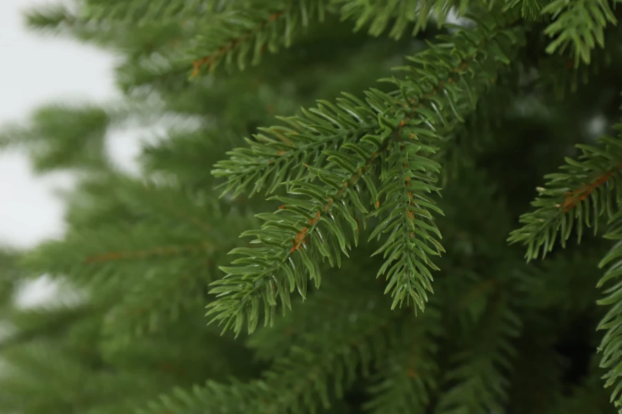 Gałązki choinki sztucznej z polietylenu PE. Choinka sztuczna Świerk Naturalny 100% PE 220 cm. Choinka sztuczna jak Żywa. Zdjęcie przedstawia zbliżenie gałązek pe, które wyglądają jak naturalne. Ujęcie drugie z galerii gałązek.